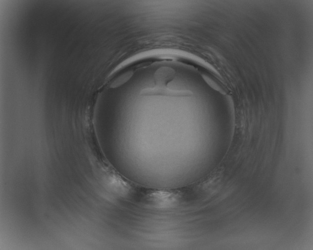 X0000070180326200605301358
