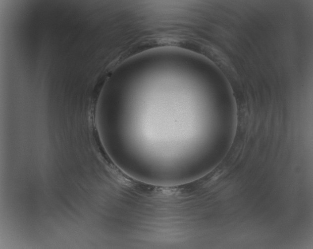 X0000070180329200605301358