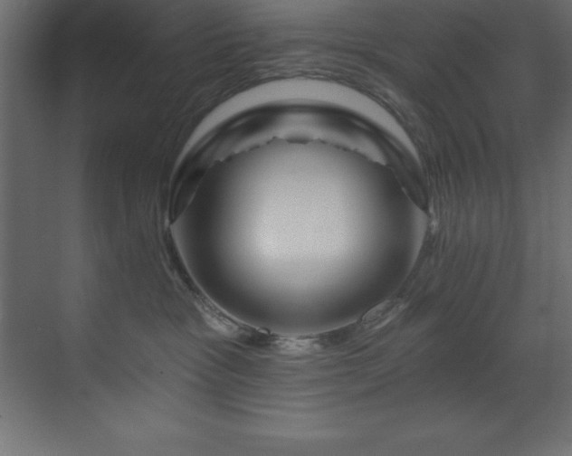 X0000070180333200605301358