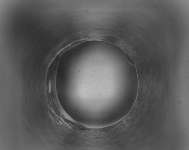 X0000070180338200605301357