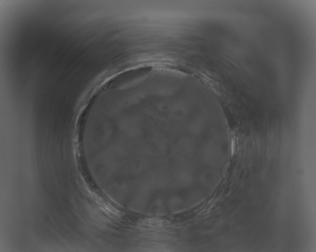 X0000070180339200605301357