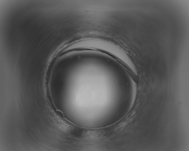 X0000070180341200605301357