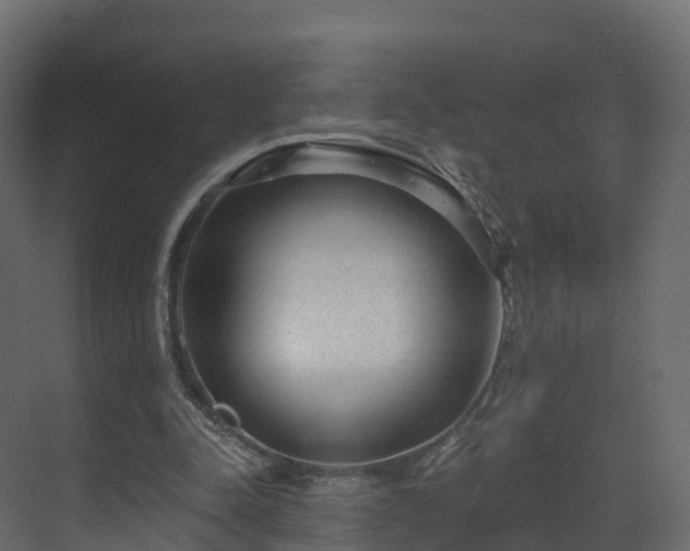 X0000070180342200605301357