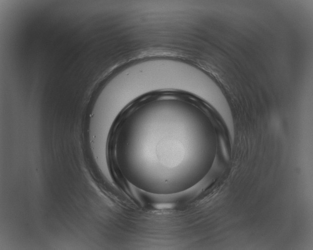 X0000070180352200605301357