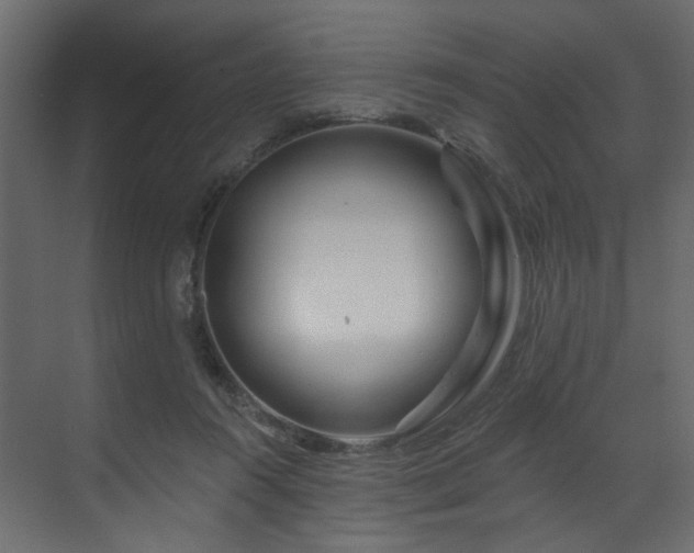 X0000070180360200605301357