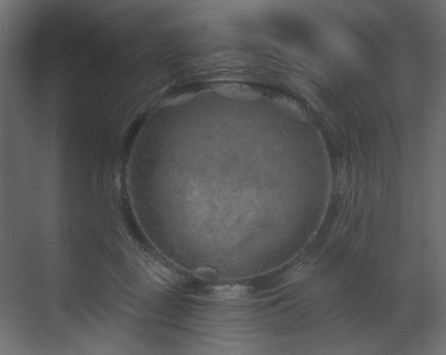 X0000070180363200605301357