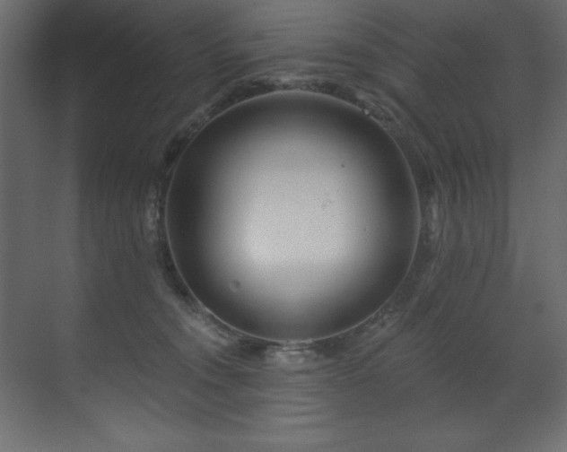 X0000070180372200605301357