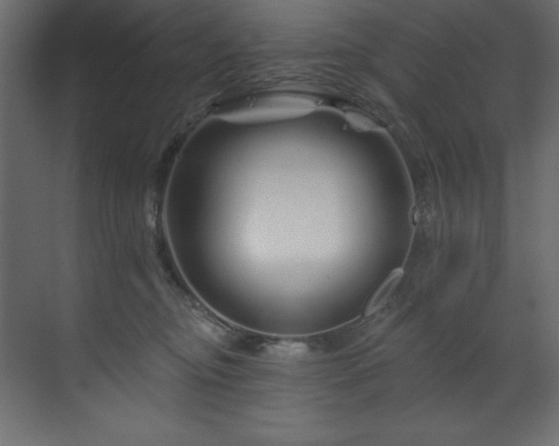 X0000070180374200605301357