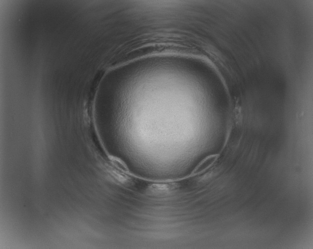 X0000070180381200605301357