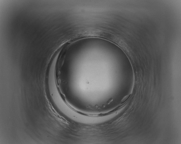 X0000070180386200605301357