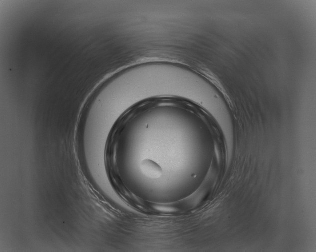 X0000070180387200605301357