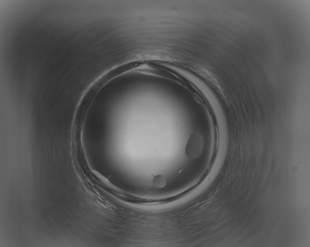 X0000070180388200605301357