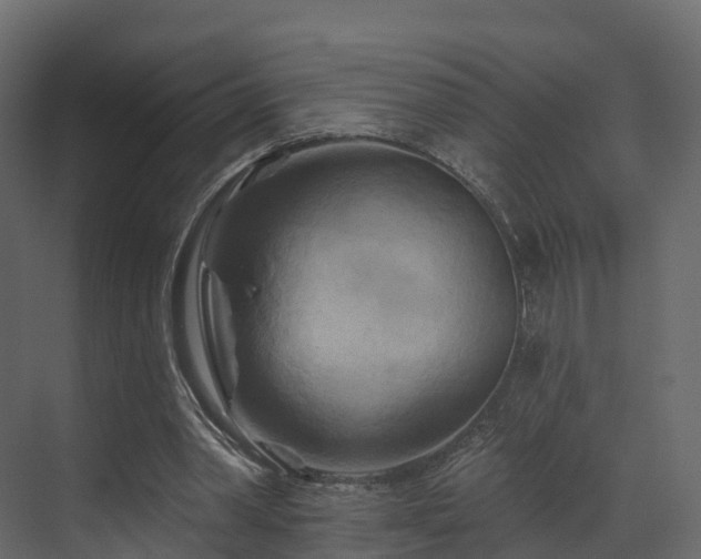 X0000070180390200605301357