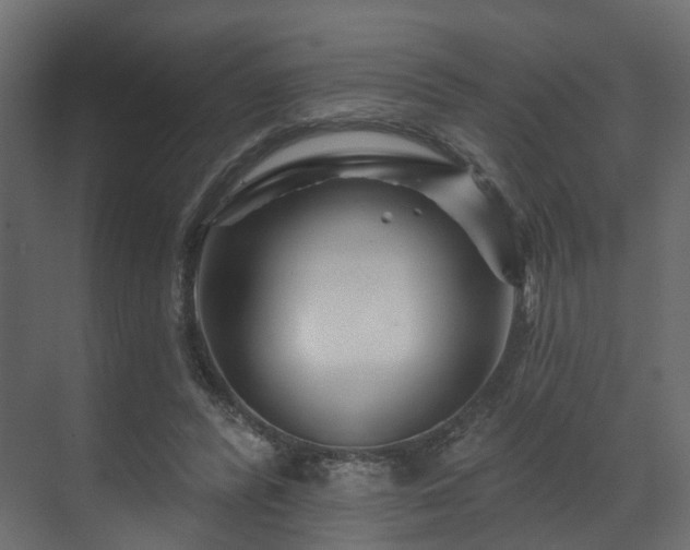 X0000070180400200605301356