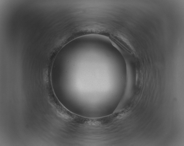 X0000070180403200605301356