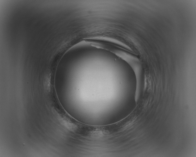 X0000070180404200605301356