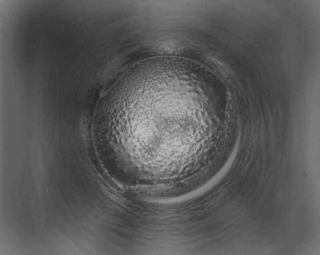 X0000070180409200605301356