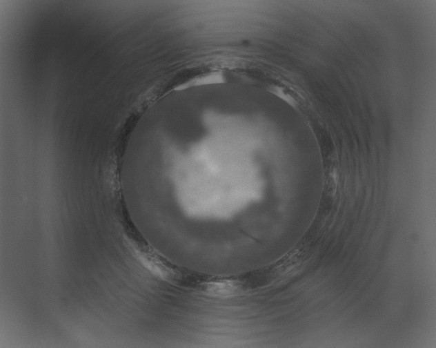 X0000070180411200605301356