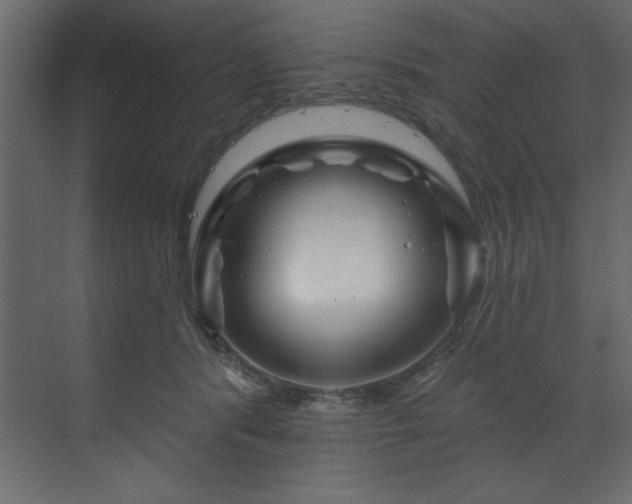 X0000070180416200605301356