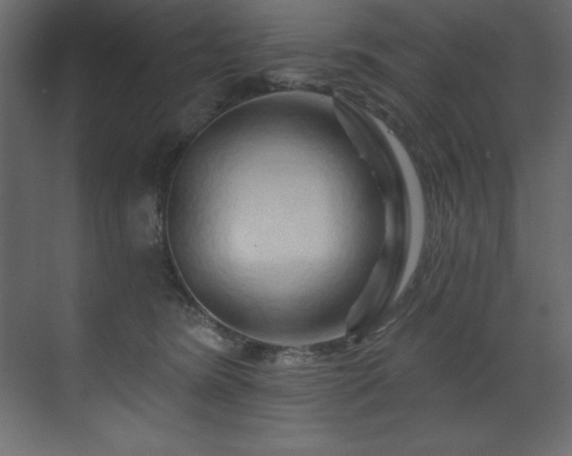 X0000070180420200605301356