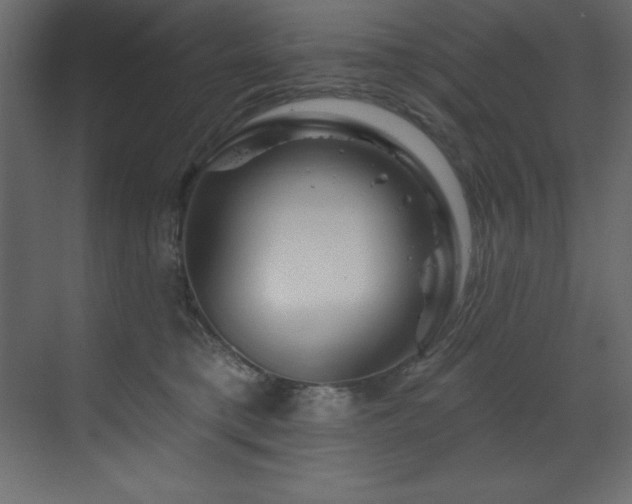 X0000070180421200605301356