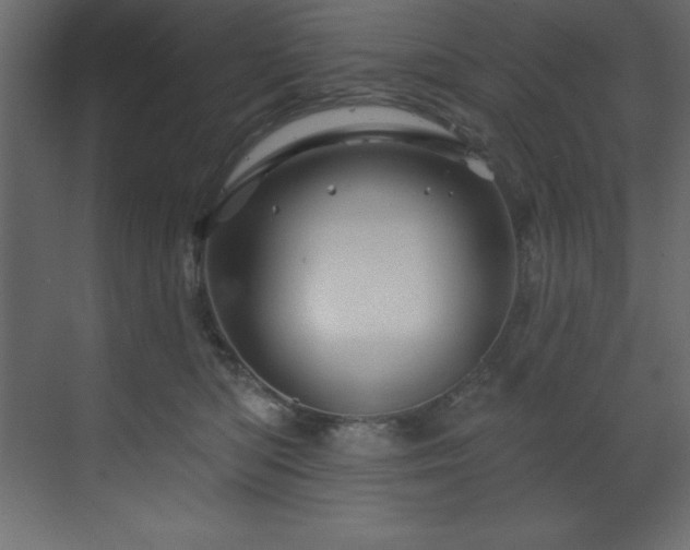 X0000070180422200605301356