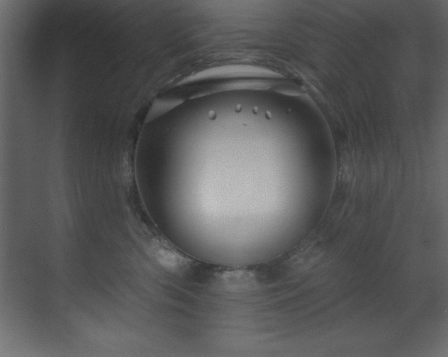 X0000070180426200605301356