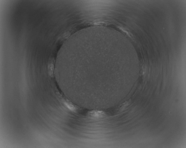 X0000070180427200605301356
