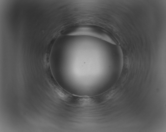 X0000070180428200605301356