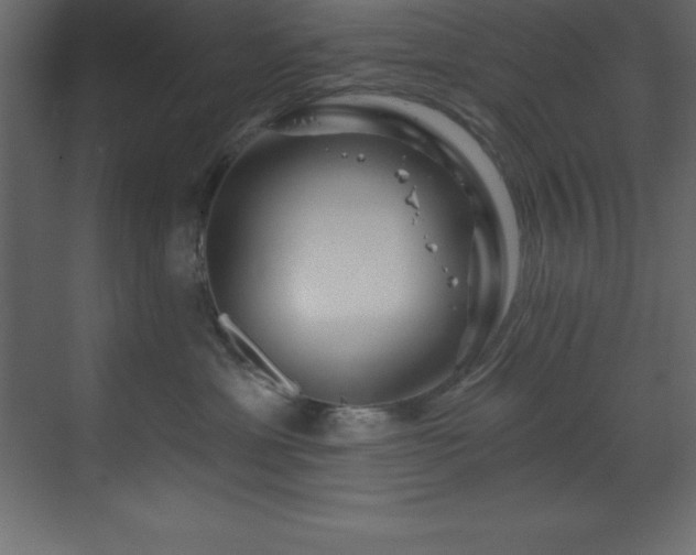 X0000070180429200605301356
