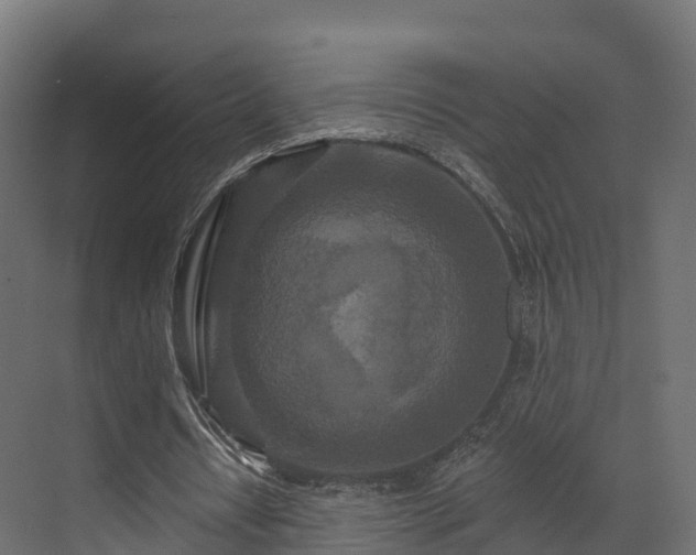 X0000070180434200605301355