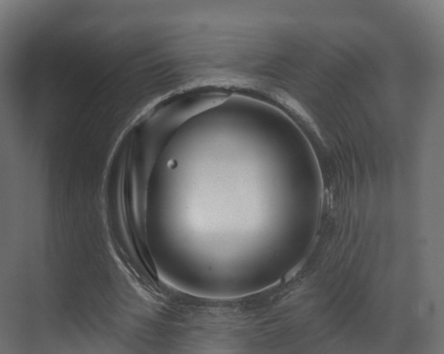 X0000070180436200605301355