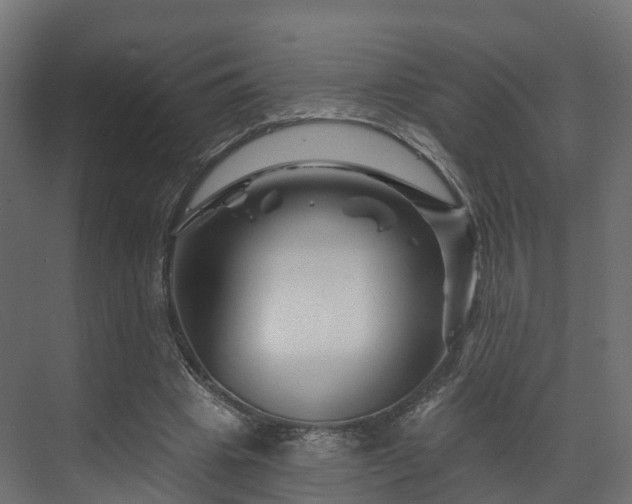 X0000070180441200605301355