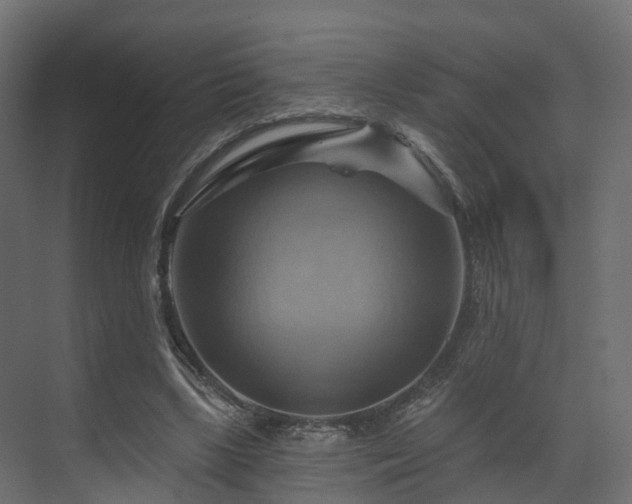 X0000070180443200605301355