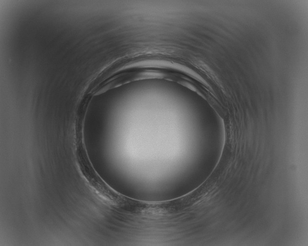 X0000070180444200605301355