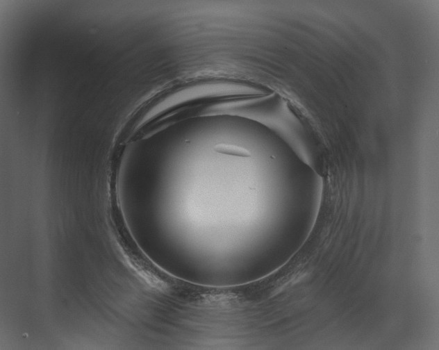 X0000070180446200605301355