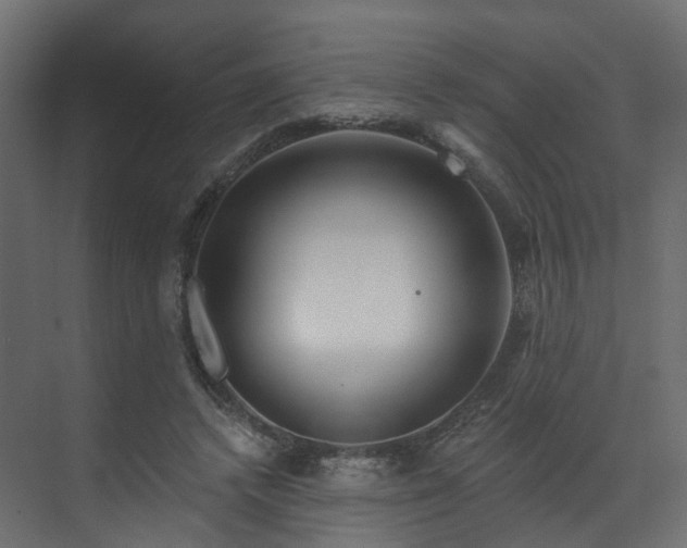 X0000070180448200605301355