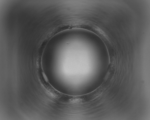 X0000070180452200605301355