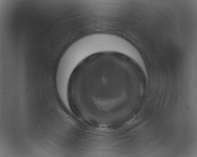 X0000070180458200605301355