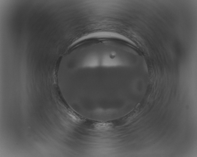 X0000070180465200605301356