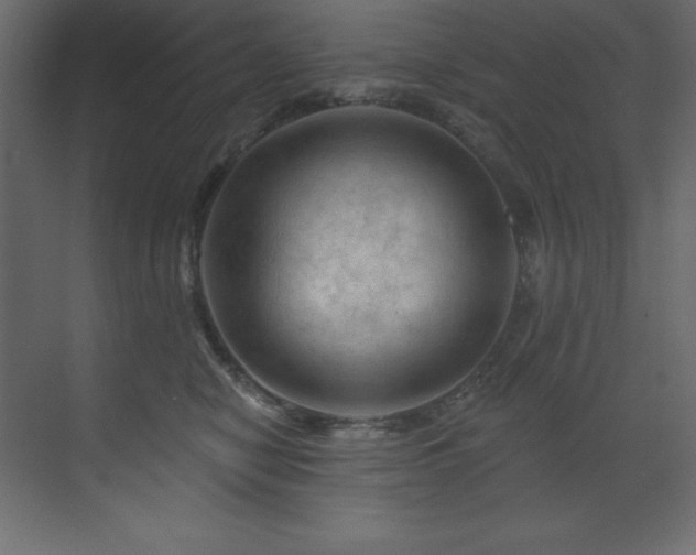 X0000070180470200605301356
