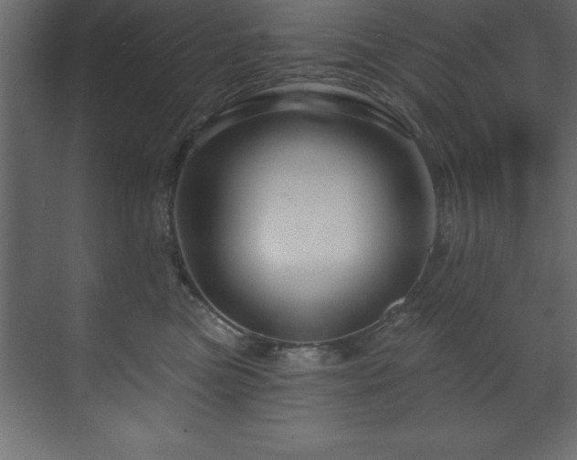 X0000070180473200605301356