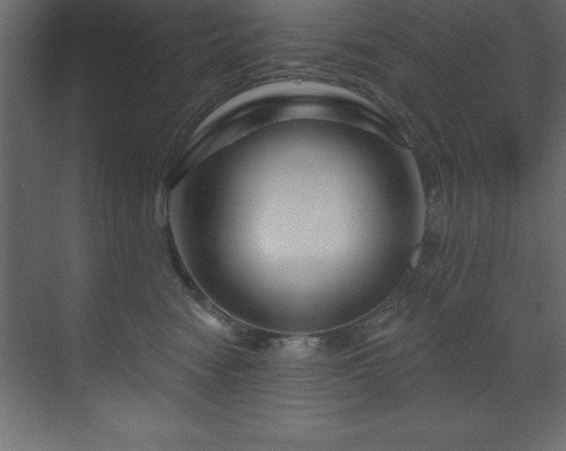 X0000070180474200605301356