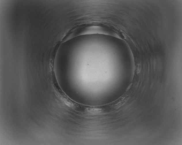 X0000070180476200605301356