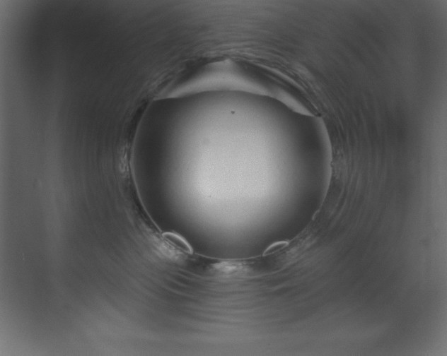 X0000070180477200605301356