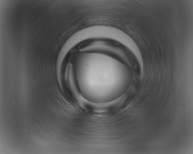 X0000070180478200605301356