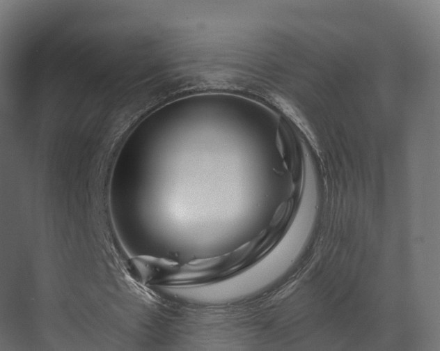 X0000070180481200605301355