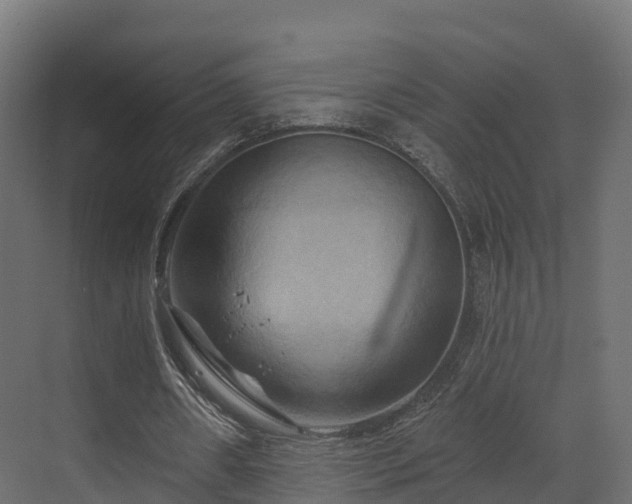 X0000070180482200605301355