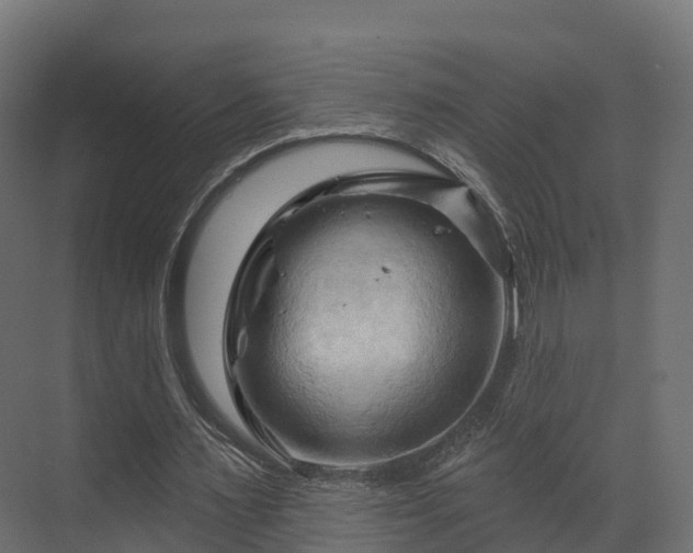 X0000070180483200605301355