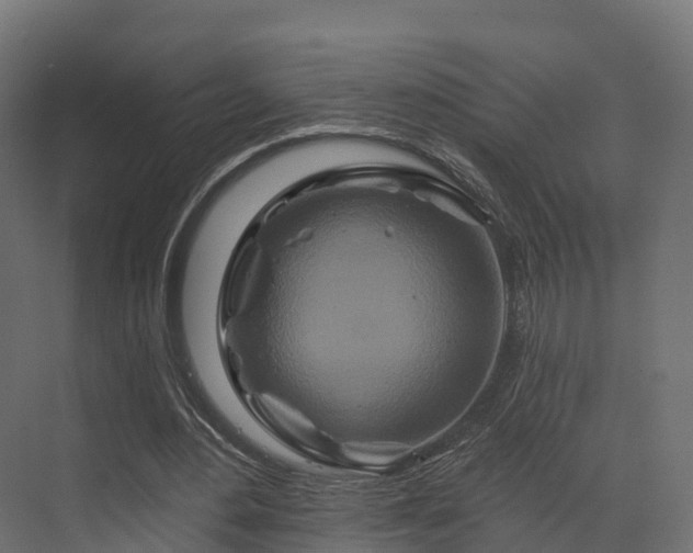 X0000070180484200605301355